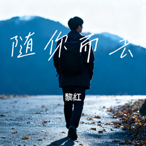随你而去