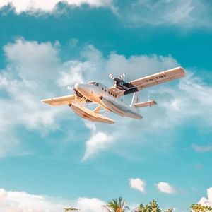 爱是无辜的风筝