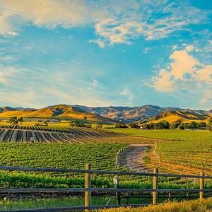 失眠播报（ 伴奏  ）