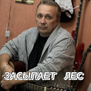 ЗАСЫПАЕТ ЛЕС