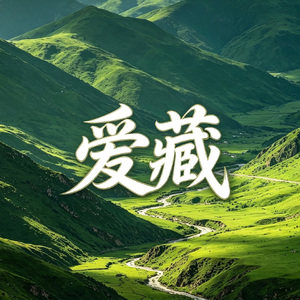 爱藏 (DJ版）
