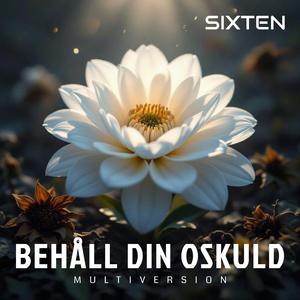 Behåll din oskuld (Soft Version)