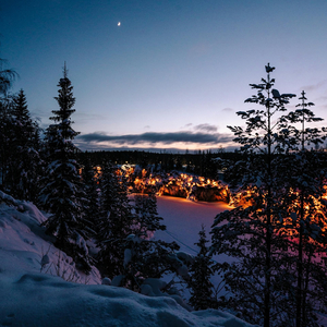 Winter Night