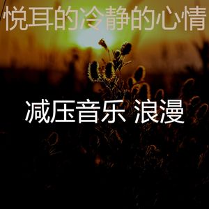 一尘不染平静的印象数