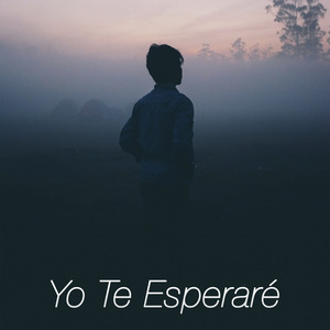Yo Te Esperaré