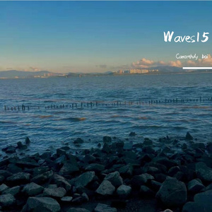 Waves15
