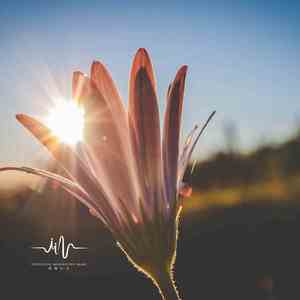 在别处 (手碟解压曲)