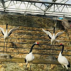 等到老去的那一天