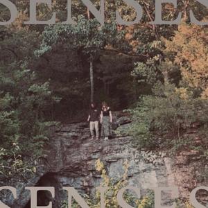 senses