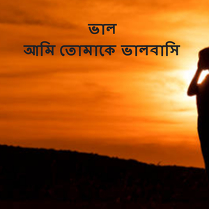 ভাল আমি তোমাকে ভালবাসি