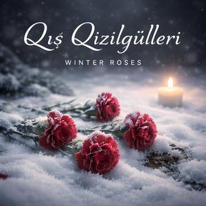 Qış Qızılgülləri (Winter Roses)