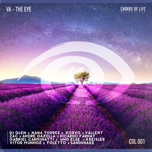 Prismatic (Original Mix)