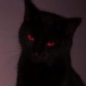 Una vez mas... (feat. Dj Miaumiau) (Dj Miaumiau)