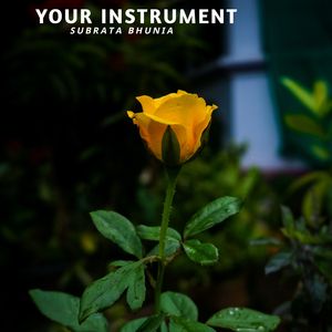 Your"Instrument 6