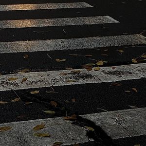 我怕你已走又怕你未至