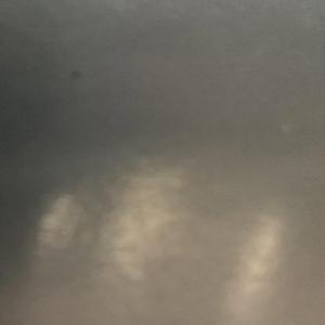 Wont contribute verbally