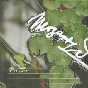 Eine kleine Nachtmusik, K. 525: I. Allegro