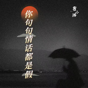 你句句情话都是假