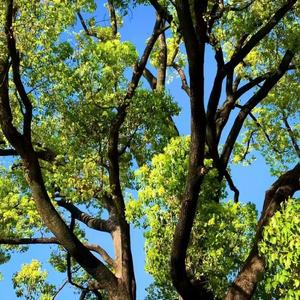 口袋里的彩虹糖