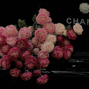 我想说我真的特别特别特别特别喜欢你!!!