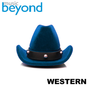 Southwestern Drifter