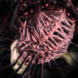 Op. 102 (feat. HALYZE)