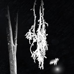 REAL KNOW REAL (feat. JAYOVSN)