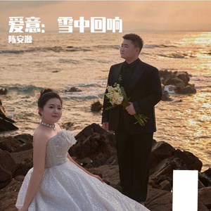 爱意：雪中回响