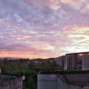 至此流年各天涯