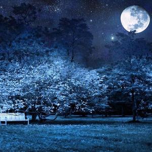 夜の月光（Moonlight Sonata）（翻自 贝多芬）