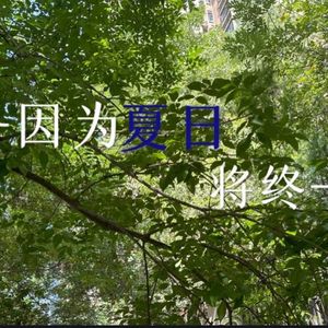 因为夏日将终。