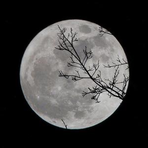 我连自己都不爱