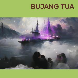 Pandangan Pertama