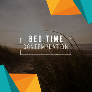 River Dolphins at Play