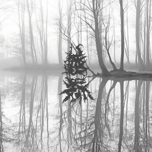 Fading Embers-残烬