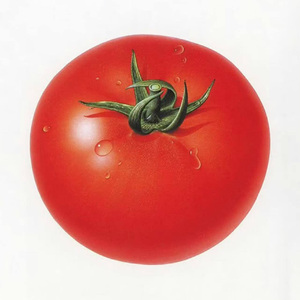 假日清晨 「FREE」Afro beat #学习