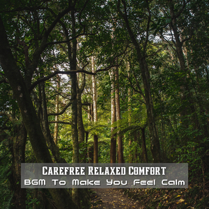 Renaissance of the Soul