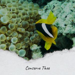 Whereinto Somaesthesia