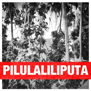 Круто (feat. 1TONE)