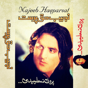 Gharzam Dar Pasay Deera Zhara Razi