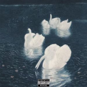 Swan lake