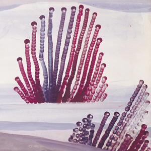 The Seven Widows (The Sprigs of Night)