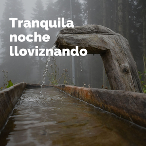 Canción de alivio del estrés