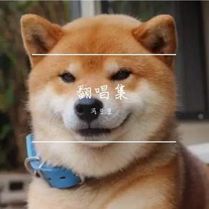 要不要买菜-多情种