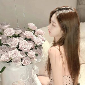 橙光素材库-树林