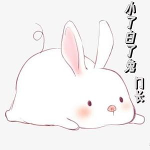 小了白了兔