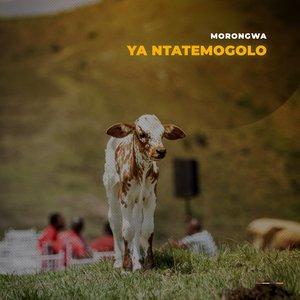 Ya Ntatemogolo