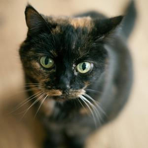 【Free】温暖的味道 - Prod.by.Skyla.J