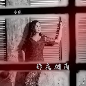 昨夜烟雨