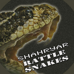 Rattle Snakes (Original Mix)